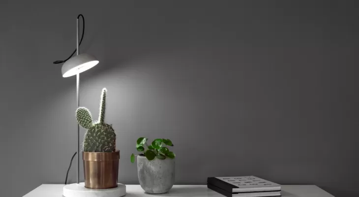 روشی برای تأمین نور گیاهان آپارتمانی