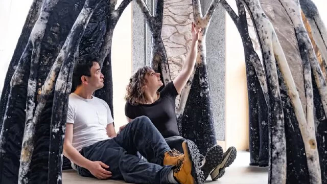 استفاده از قارچ در مصالح ساختمانی پایدار