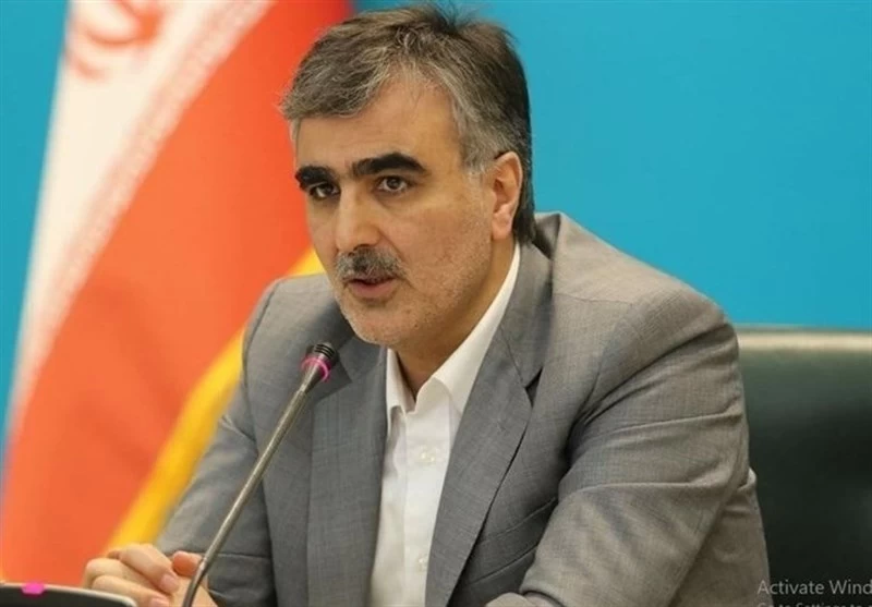 فرزین: موضع رئیس جمهور درباره منابع بلوکه شده ایران صحیح است