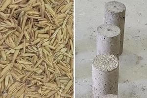 پیش بینی مقاومت بتن با هوش مصنوعی| ضایعات برنج به سیمان صنعتی تبدیل شد