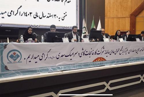 رشد ۳۰ درصدی سود خالص شرکت کاشی و سرامیک سعدی در سال گذشته