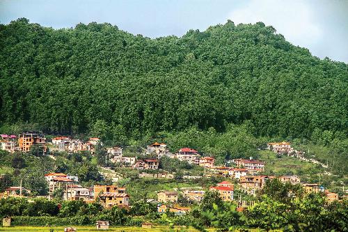 طرح های مسکن در مازندران؛ راه حل یا تهدیدی برای کشاورزی؟