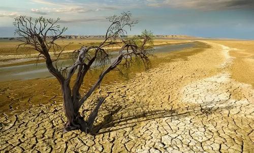 بحران آب یا مافیای قدرت؟ ماجرای پنهان تشنگی ایران