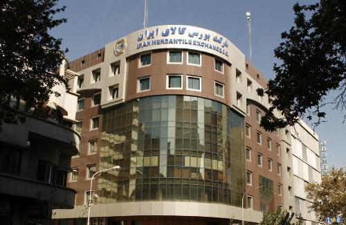 ۵۶۰ هزارتن محصول به دست خریداران رسید